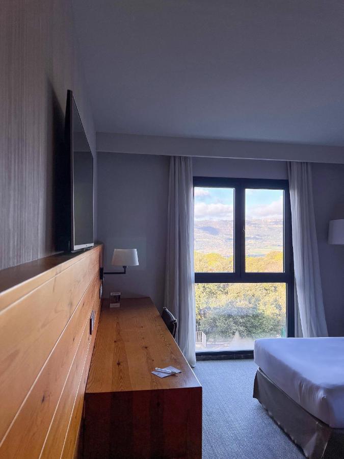 Double or Twin Room Mountain View